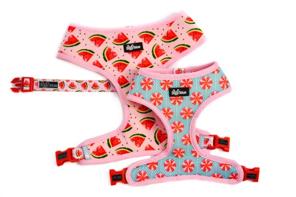 Doggiedeluxe; Reversible Harnas“Water Your Melon”