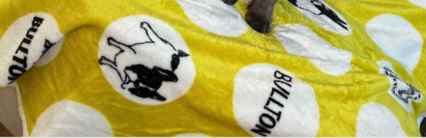 Fleece deken: franse bulldog geel