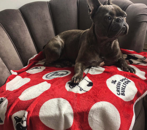Fleece deken: franse bulldog rood